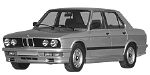 BMW E28 B1D0F Fault Code